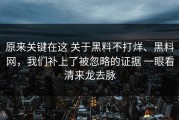 原来关键在这 关于黑料不打烊、黑料网，我们补上了被忽略的证据 一眼看清来龙去脉