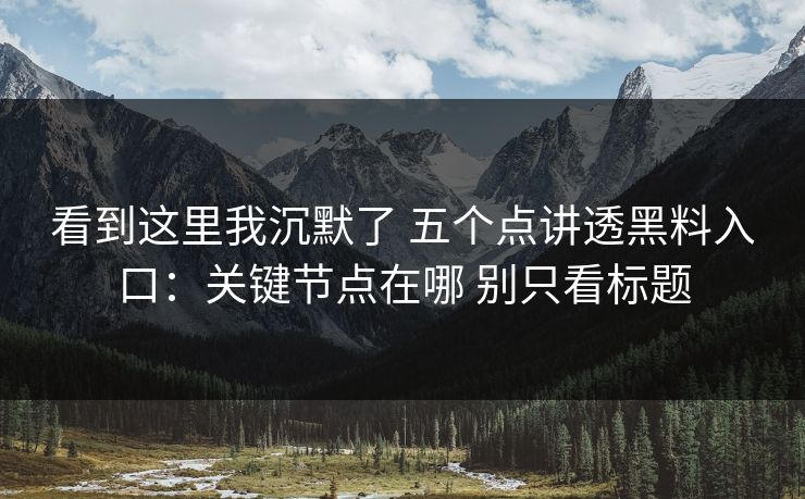 看到这里我沉默了 五个点讲透黑料入口：关键节点在哪 别只看标题