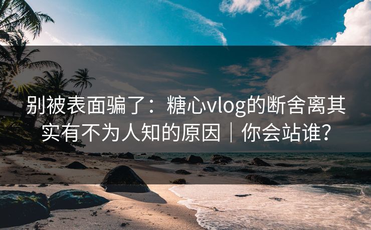别被表面骗了：糖心vlog的断舍离其实有不为人知的原因｜你会站谁？