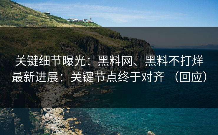 关键细节曝光：黑料网、黑料不打烊最新进展：关键节点终于对齐 （回应）