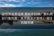 没想到会是这样 黑料不打烊、黑料网别只看热度：多方说法才是核心 越往后越关键