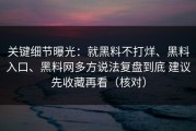 关键细节曝光：就黑料不打烊、黑料入口、黑料网多方说法复盘到底 建议先收藏再看（核对）