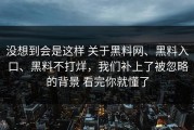 没想到会是这样 关于黑料网、黑料入口、黑料不打烊，我们补上了被忽略的背景 看完你就懂了