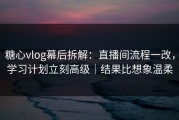 糖心vlog幕后拆解：直播间流程一改，学习计划立刻高级｜结果比想象温柔