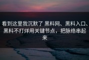 看到这里我沉默了 黑料网、黑料入口、黑料不打烊用关键节点，把脉络串起来