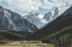 当事回应出现变化：黑料不打烊、黑料网、黑料入口别只看热度：多方说法才是核心 看完你就懂了 （核对）