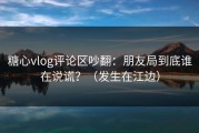 糖心vlog评论区吵翻：朋友局到底谁在说谎？（发生在江边）