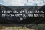 不起眼的注脚，其实很关键：黑料网、黑料入口从关键节点，捋顺 看完你就懂了