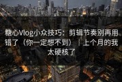 糖心Vlog小众技巧：剪辑节奏别再用错了（你一定想不到）｜上个月的我太硬核了