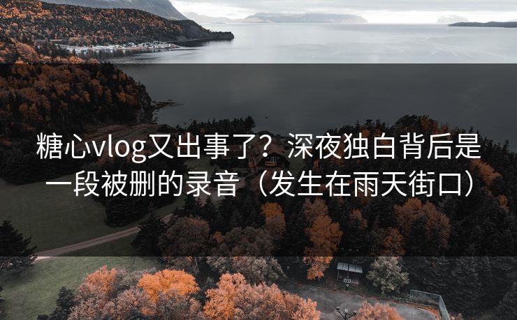 糖心vlog又出事了？深夜独白背后是一段被删的录音（发生在雨天街口）
