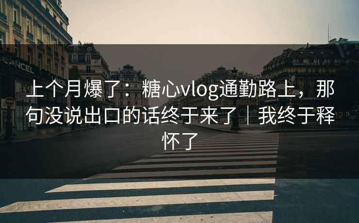 上个月爆了：糖心vlog通勤路上，那句没说出口的话终于来了｜我终于释怀了