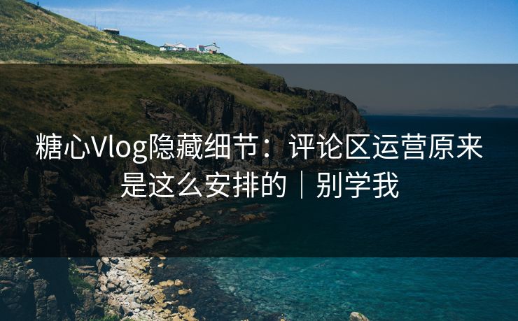 糖心Vlog隐藏细节：评论区运营原来是这么安排的｜别学我