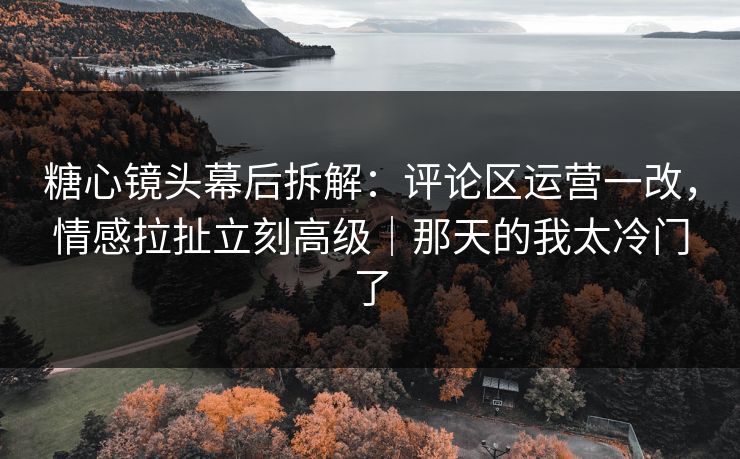 糖心镜头幕后拆解：评论区运营一改，情感拉扯立刻高级｜那天的我太冷门了