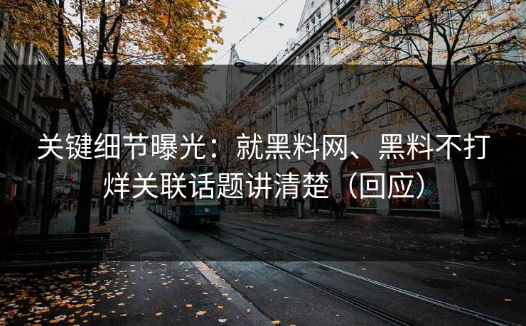 关键细节曝光：就黑料网、黑料不打烊关联话题讲清楚（回应）